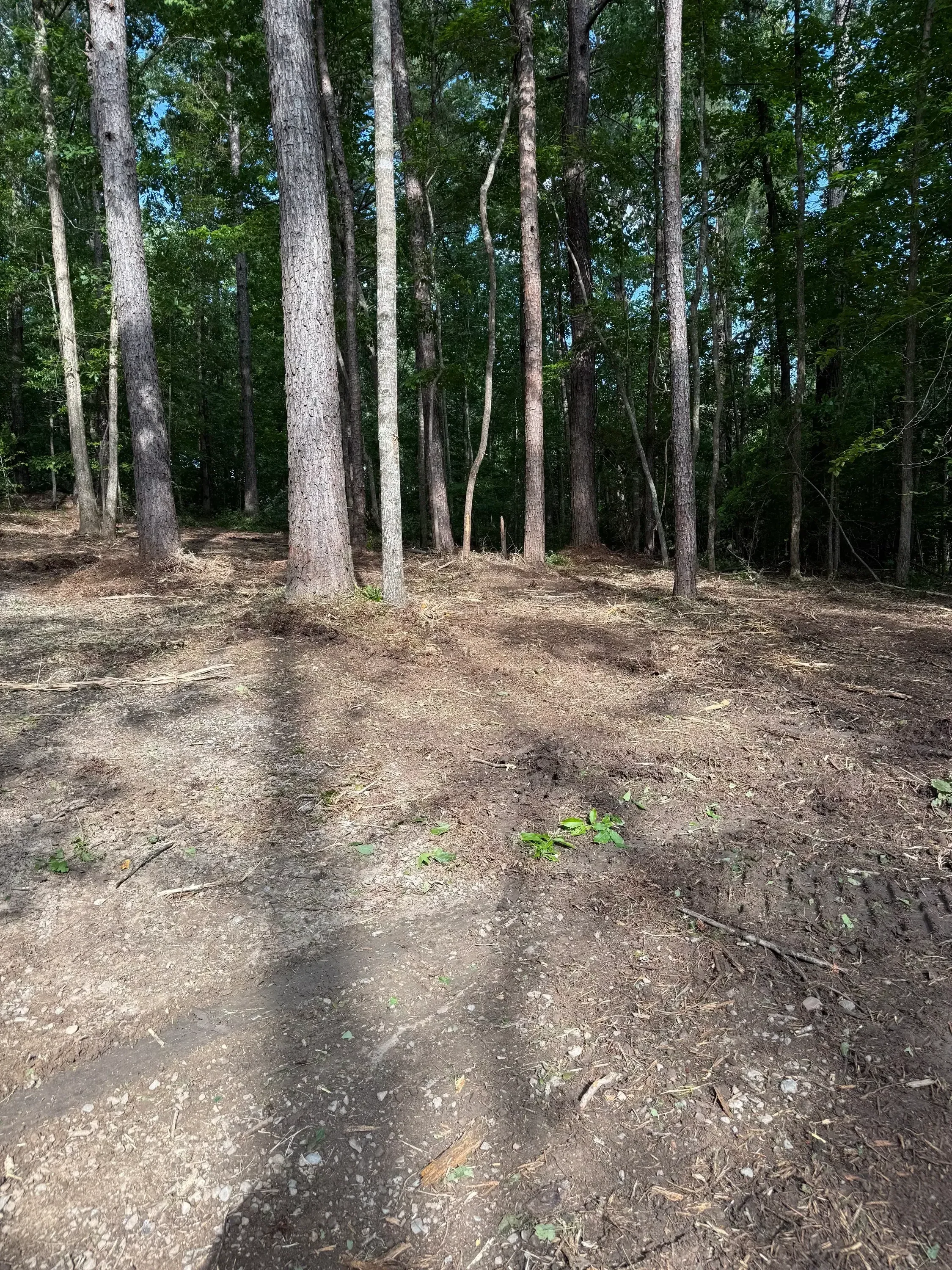 Cleared dirt area alongside weathered wooden rail fence with green foliage in background