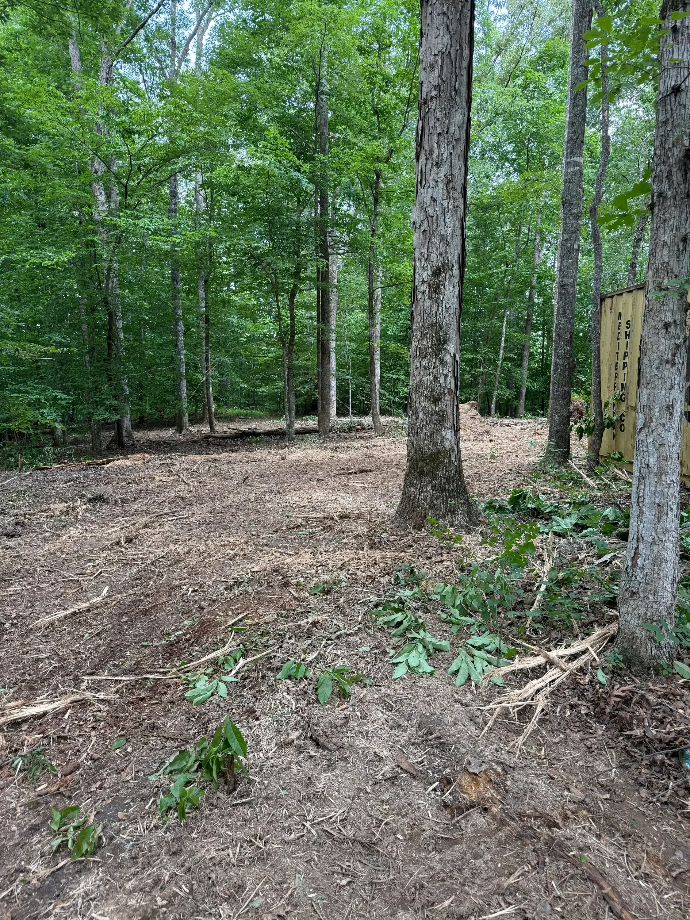 Cleared property with removed vegetation, exposed wooden fence, and mulched ground area
